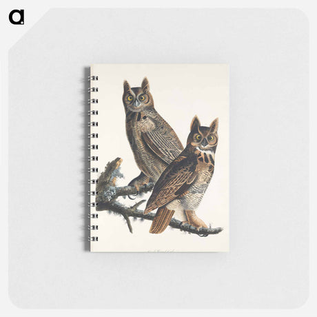 アートメモ帳-Great Horned Owl from Birds of America
 - アメリカの鳥たち Memo.