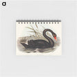 アートメモ帳-Black Swan
 - オーストラリアの鳥 Memo.