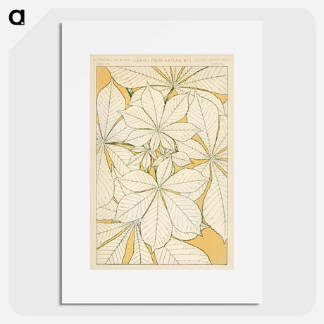 アートポスター-Nineteenth-Century Ornamental Pattern
 - 装飾の文法 Poster.
