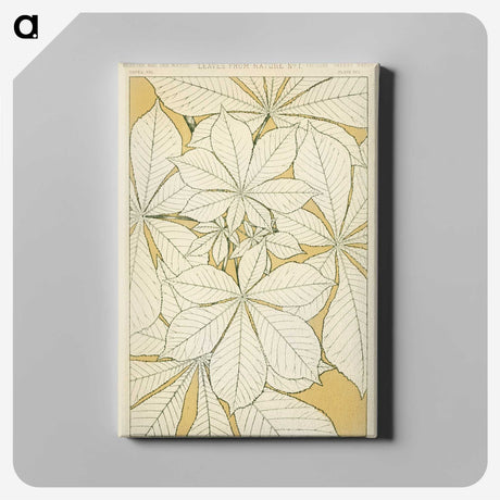 1-9_The-Grammar-of-Ornament_canvas