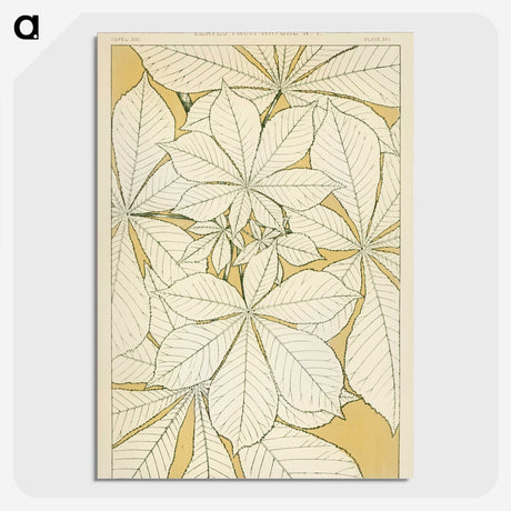 1-9_The-Grammar-of-Ornament_picture-crop