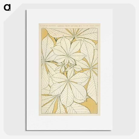 1-9_The-Grammar-of-Ornament_picture