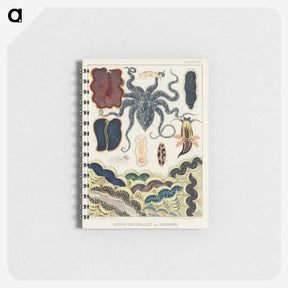 1-9_The-Great-Barrier-Reef-of-Australia_memo