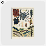 1-9_The-Great-Barrier-Reef-of-Australia_postcard