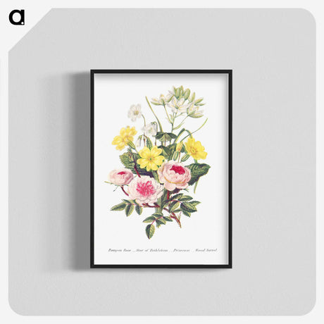 1-9_The-Language-of-Flowers_blk-crop