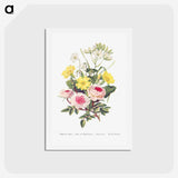 1-9_The-Language-of-Flowers_hagaki