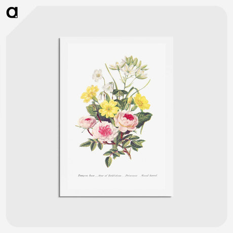 1-9_The-Language-of-Flowers_hagaki