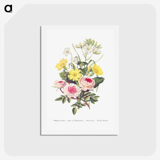 1-9_The-Language-of-Flowers_hagaki
