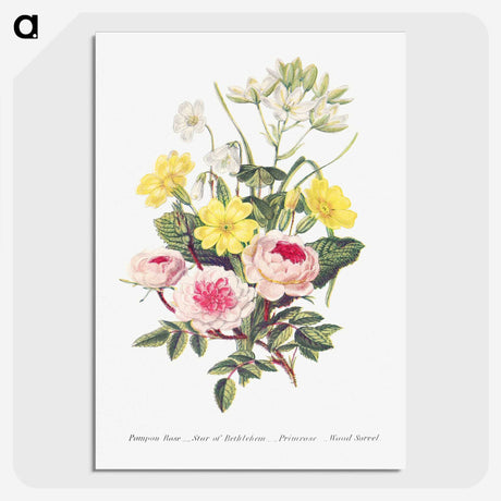 1-9_The-Language-of-Flowers_picture-crop