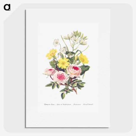 1-9_The-Language-of-Flowers_picture