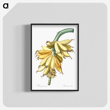 1-9_The-Lilies_blk-crop