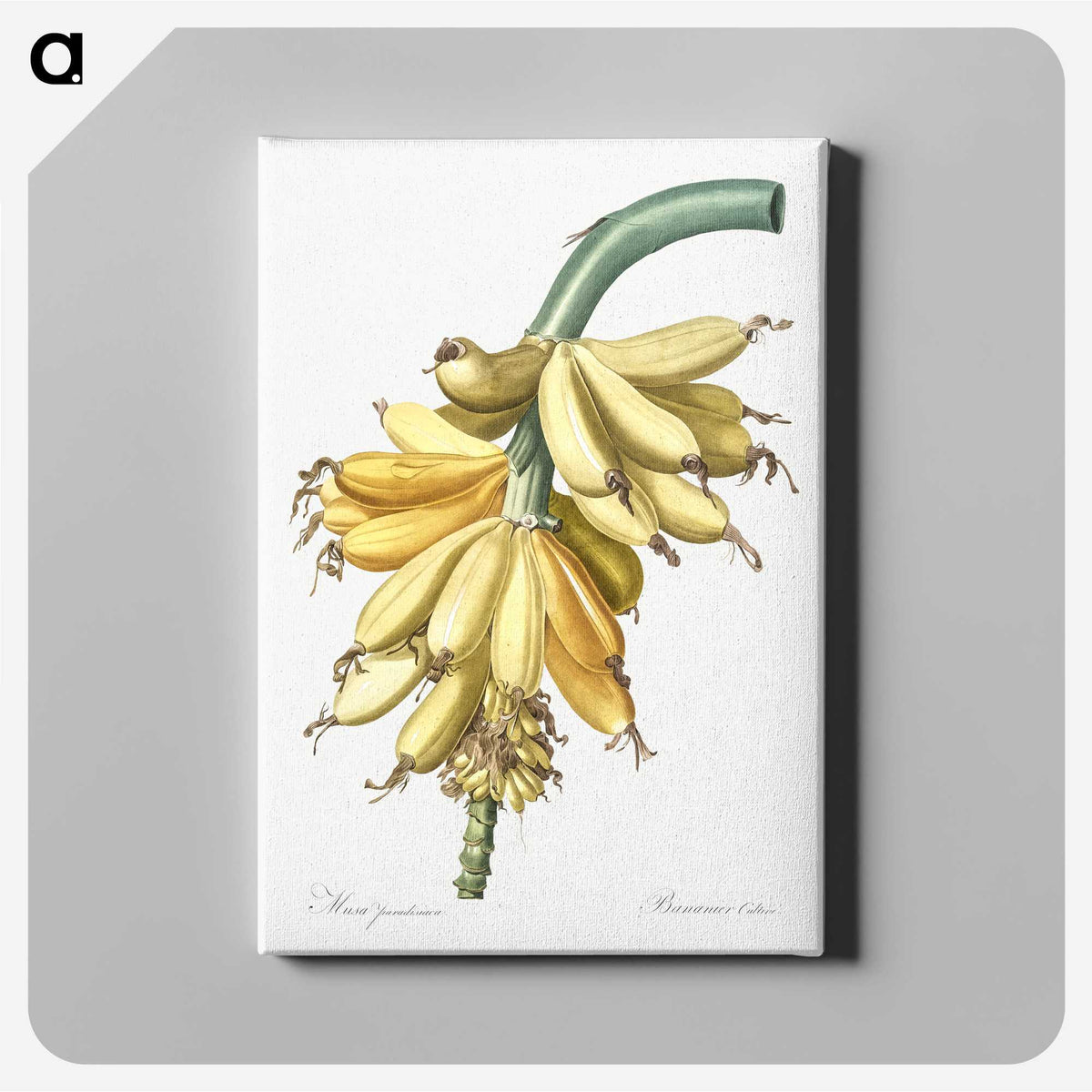 1-9_The-Lilies_canvas