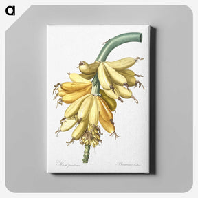 1-9_The-Lilies_canvas