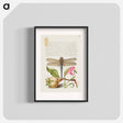 アートポスター-Dragonfly, Pear, Carnation, and Insect
 - 書道のお手本 Poster.