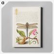 アートパネル-Dragonfly, Pear, Carnation, and Insect
 - 書道のお手本 Canvas.