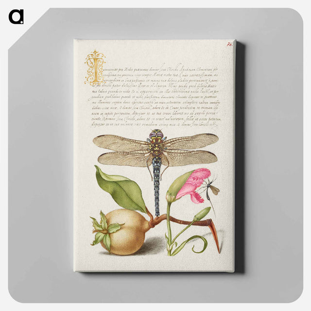 アートパネル-Dragonfly, Pear, Carnation, and Insect
 - 書道のお手本 Canvas.