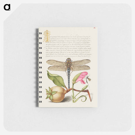 アートメモ帳-Dragonfly, Pear, Carnation, and Insect
 - 書道のお手本 Memo.