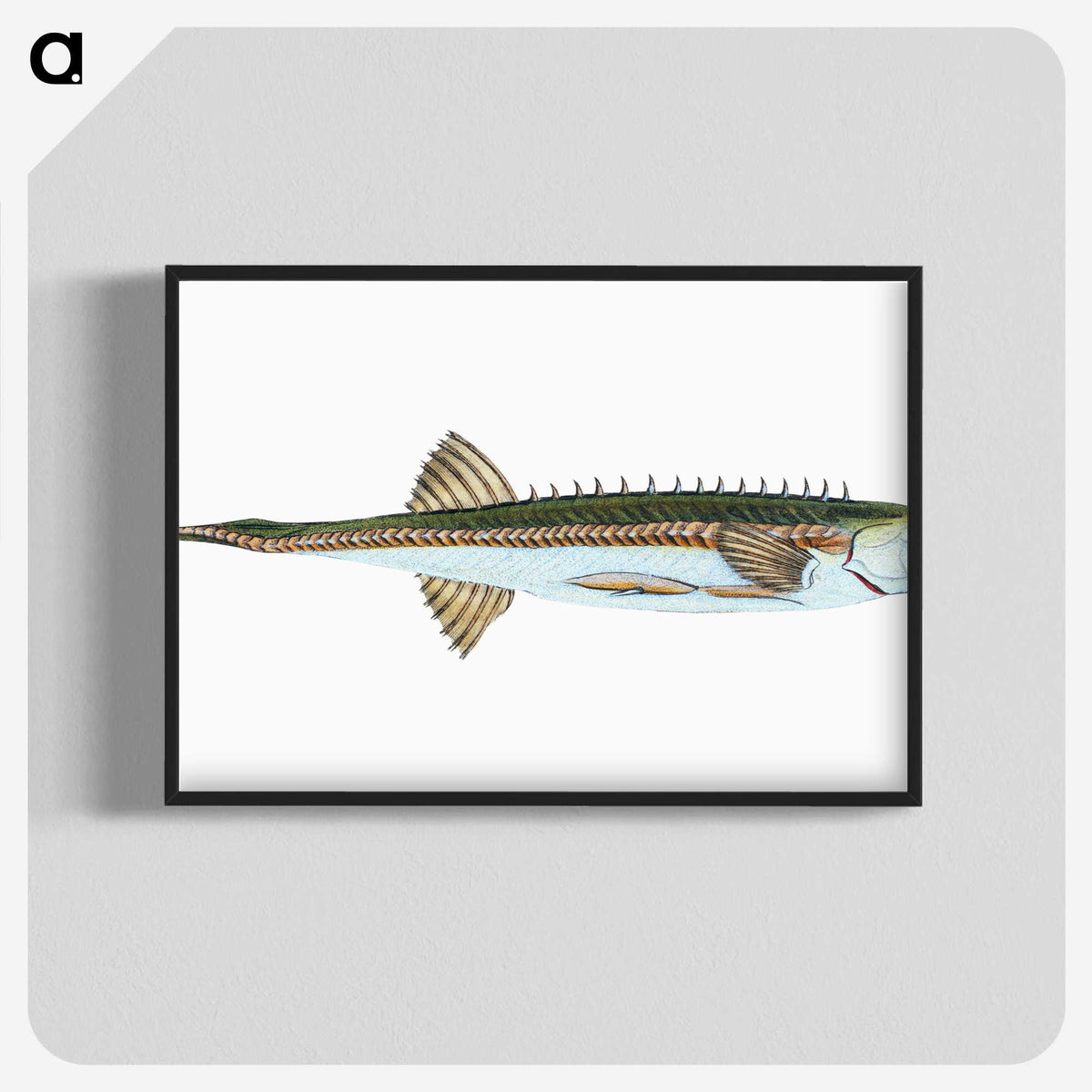 1-9_The-Natural-History-of-British-Fishes_blk-crop