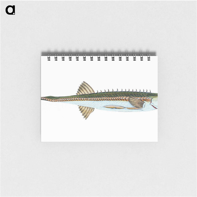 1-9_The-Natural-History-of-British-Fishes_memo