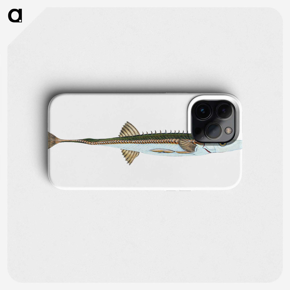1-9_The-Natural-History-of-British-Fishes_phone