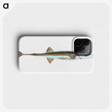 1-9_The-Natural-History-of-British-Fishes_phone