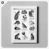 1-9_The-Open-Door-to-Independence_canvas