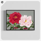 1-9_The-Picture-Book-of-Peonies_blk-crop