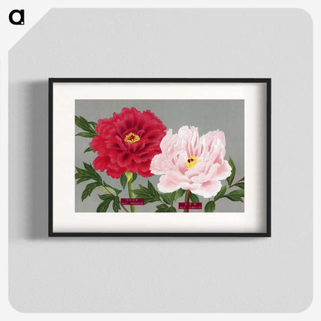 1-9_The-Picture-Book-of-Peonies_blk