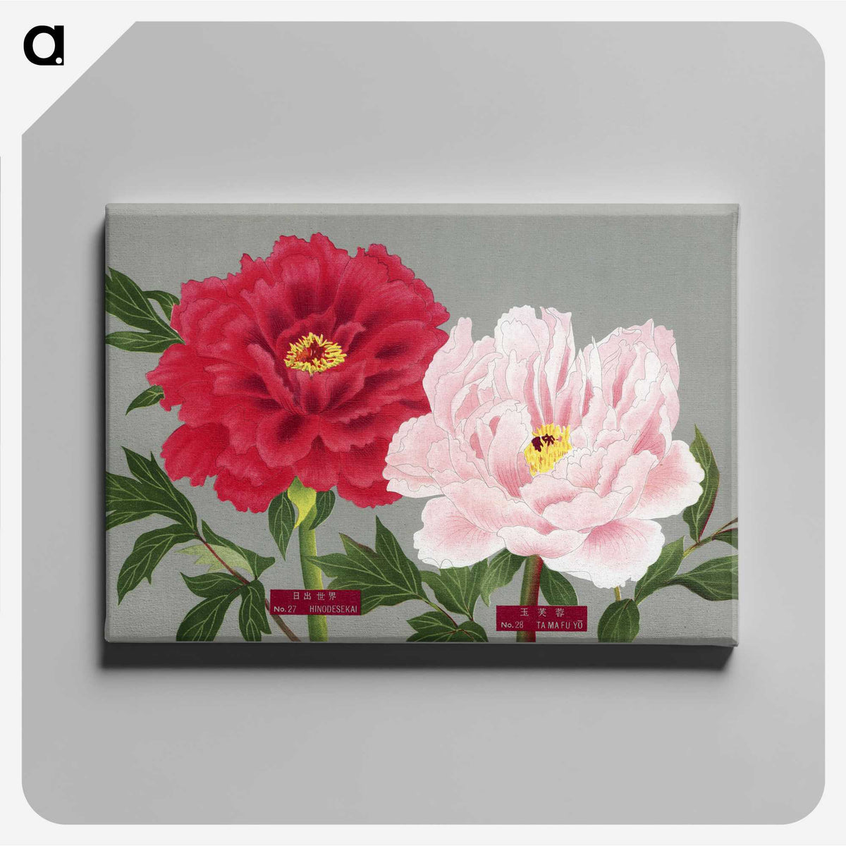 1-9_The-Picture-Book-of-Peonies_canvas