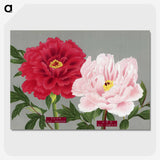 1-9_The-Picture-Book-of-Peonies_picture-crop
