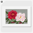 1-9_The-Picture-Book-of-Peonies_picture