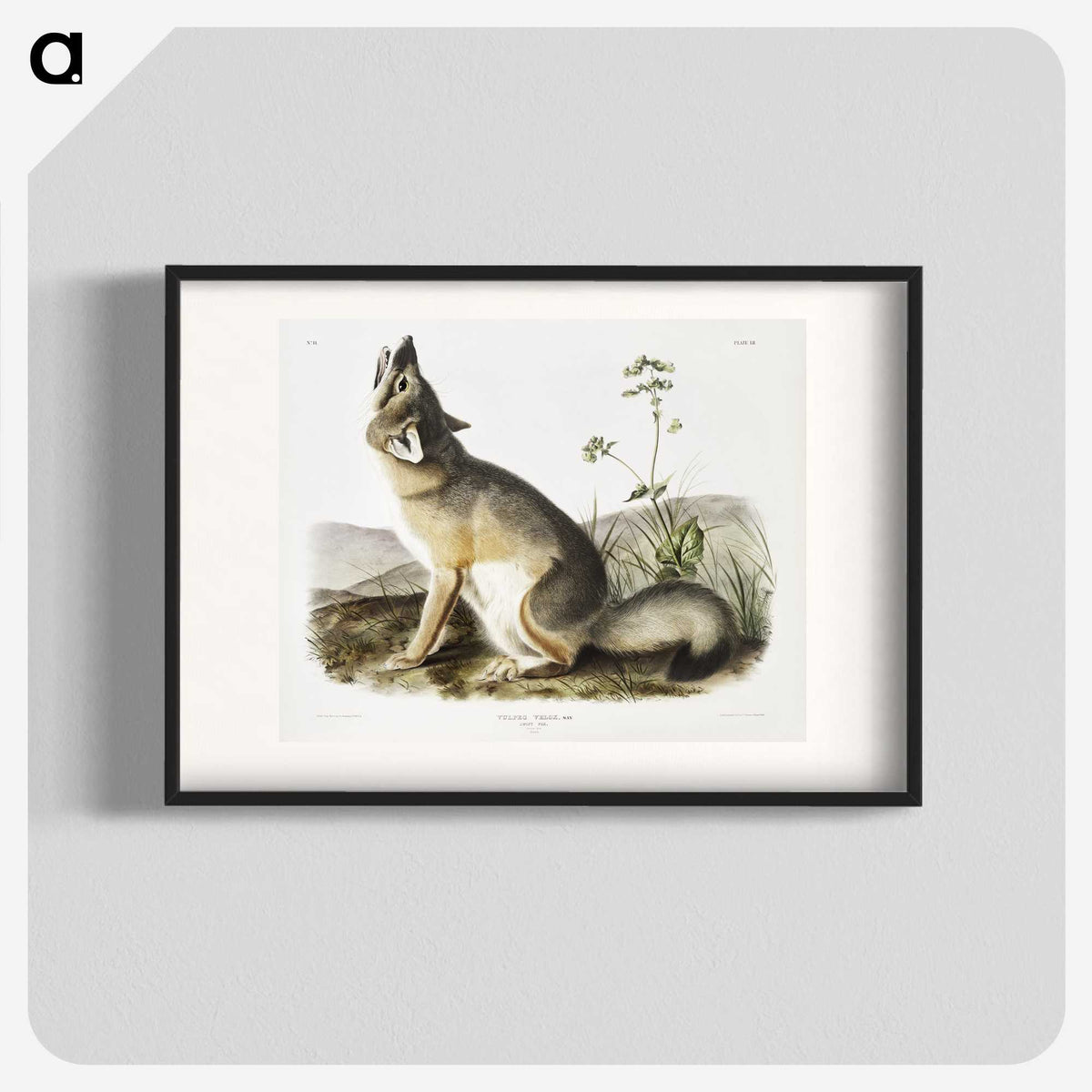 1-9_The-Viviparous-Quadrupeds_blk