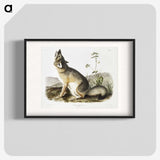 1-9_The-Viviparous-Quadrupeds_blk