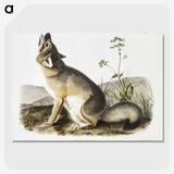 1-9_The-Viviparous-Quadrupeds_picture-crop