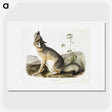 1-9_The-Viviparous-Quadrupeds_picture