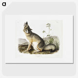 1-9_The-Viviparous-Quadrupeds_picture