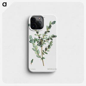 1-9_Treatise-on-Trees-and-Shrubs_phone