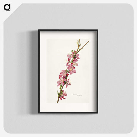 1-9_USDA-Watercolor-Fruit-Painting-Collection_blk