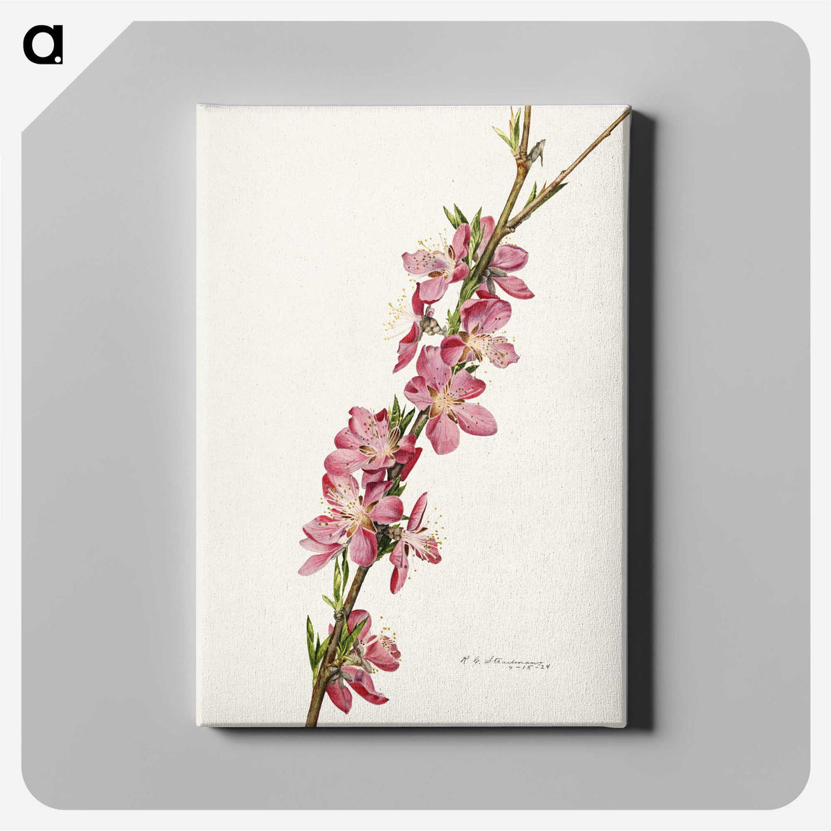 1-9_USDA-Watercolor-Fruit-Painting-Collection_canvas