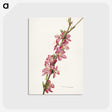 1-9_USDA-Watercolor-Fruit-Painting-Collection_postcard