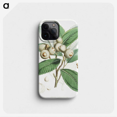 1-9_Walter-Hood-Fitch_phone