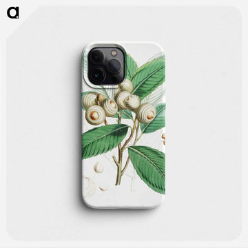 Bull Oak (Quercus Lamellosa) - ウォルター フッド フィッチ Phone Case.
