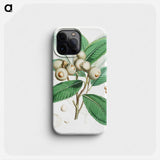 Bull Oak (Quercus Lamellosa) - ウォルター フッド フィッチ Phone Case.