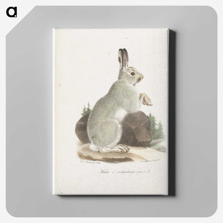 1-9_Wilhelm-von-Wright_canvas