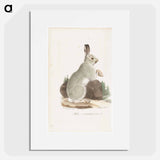 Jänis talviasussa, tidskrift för jägare och naturforskare -lehden kuvitusta - ヴィルヘルム フォン ライト Poster.