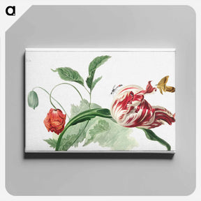アートパネル-Tulip and a Poppy - ウィレム ヴァン リーン Canvas.