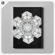 1-9_Wilson-Bentley_canvas