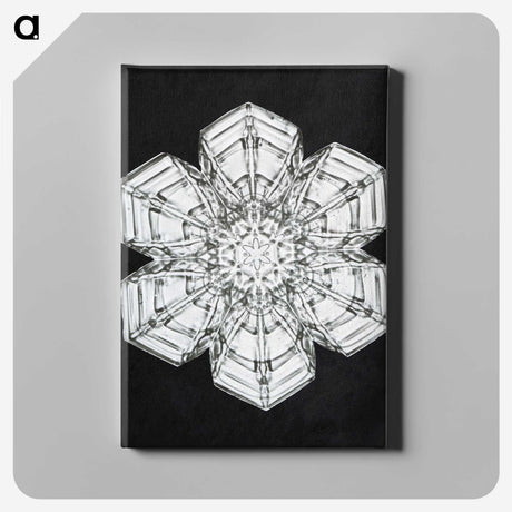 1-9_Wilson-Bentley_canvas