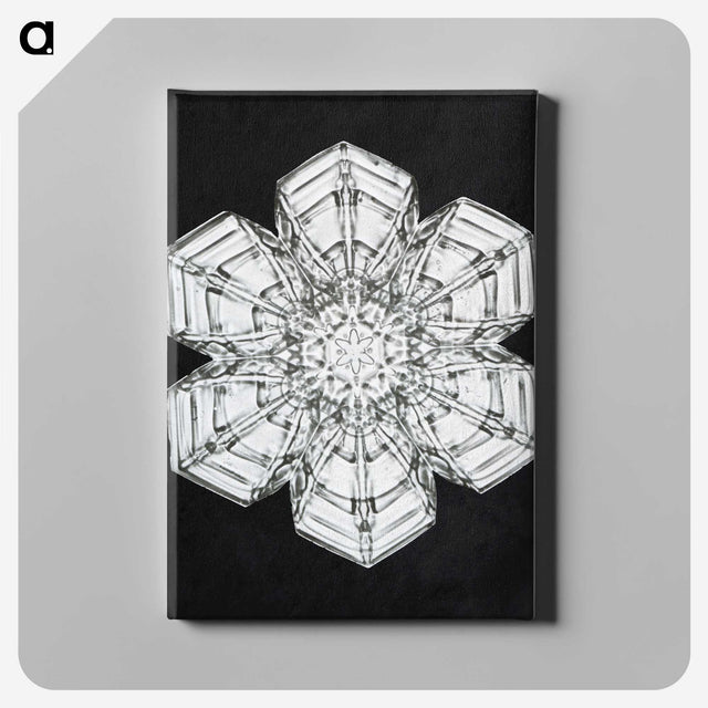 1-9_Wilson-Bentley_canvas
