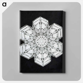 アートパネル-Wilson Bentley's Snowflake 10 - ウィルソン ベントレー Canvas.
